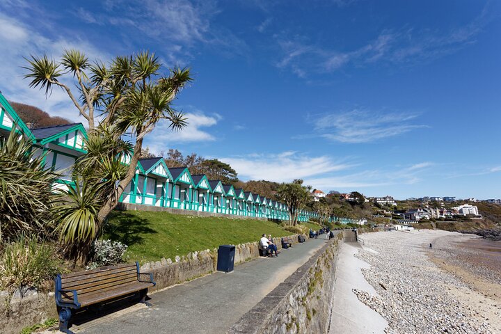 Cardiff: Gower Peninsula's Cliffs & Mumbles Scenic Day Tour