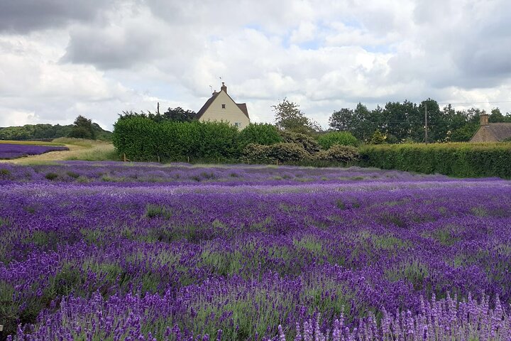 Private Cotswolds Day Tour: Small-Group Luxury in a Mercedes