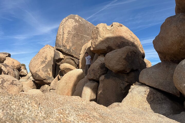 Joshua Tree National Park Sightseeing Adventure Tour