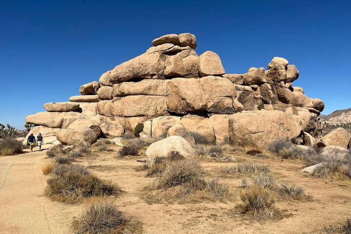 Joshua Tree National Park Sightseeing Adventure Tour