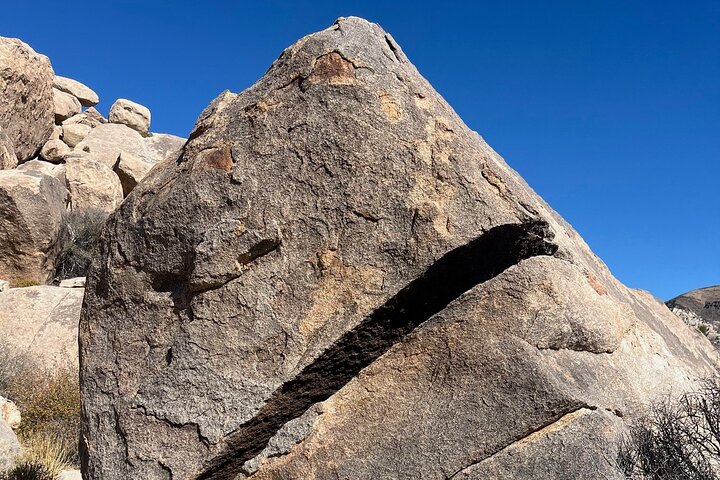 Joshua Tree National Park Sightseeing Adventure Tour