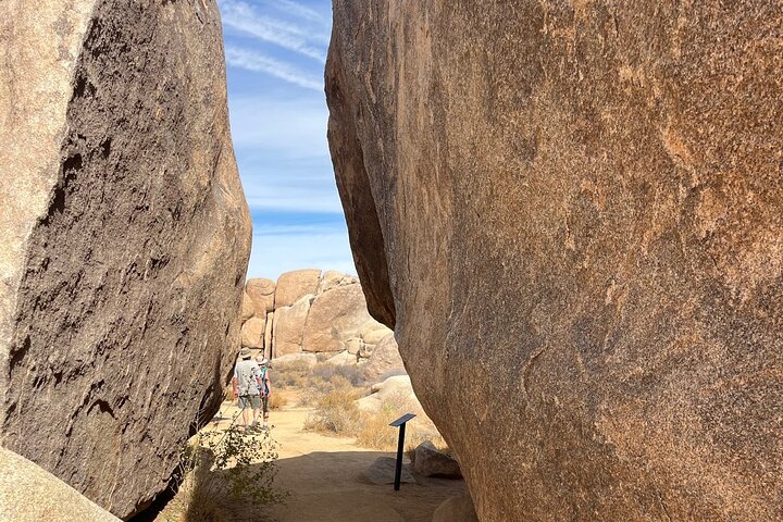Joshua Tree National Park Sightseeing Adventure Tour