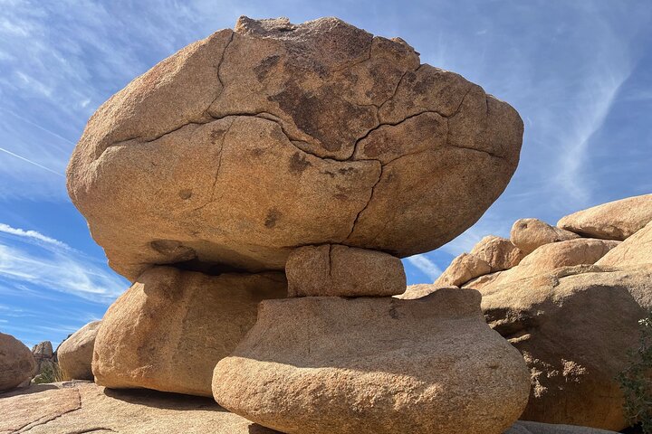 Joshua Tree National Park Sightseeing Adventure Tour