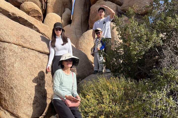Joshua Tree National Park Sightseeing Adventure Tour