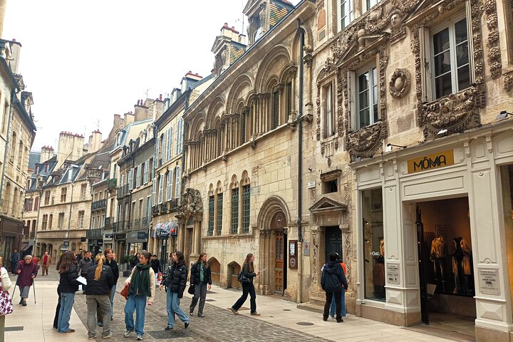 Guided tour of Dijon with your private professional guide!
