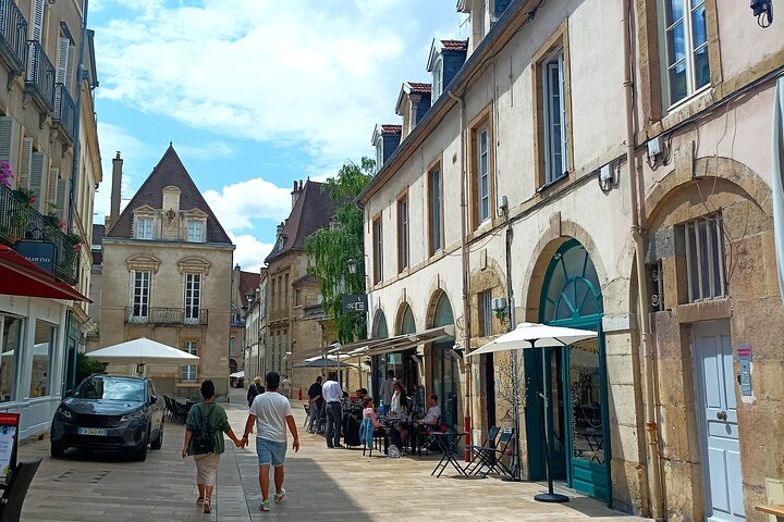 Guided tour of Dijon with your private professional guide!