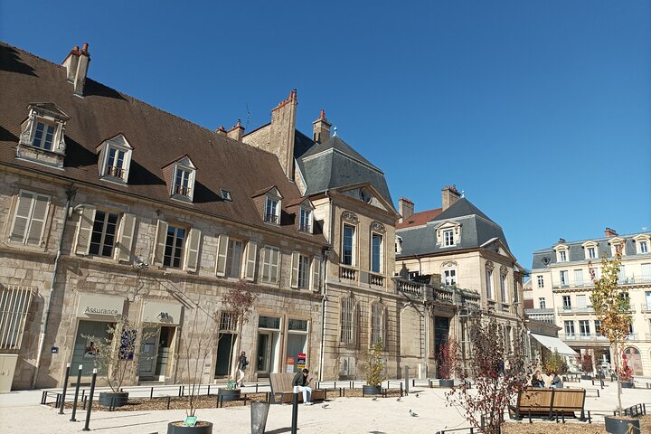Guided tour of Dijon with your private professional guide!
