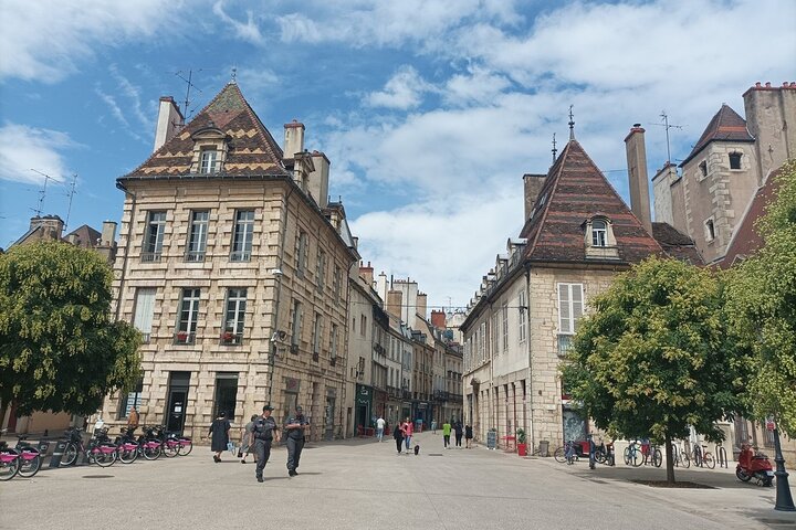 Guided tour of Dijon with your private professional guide!