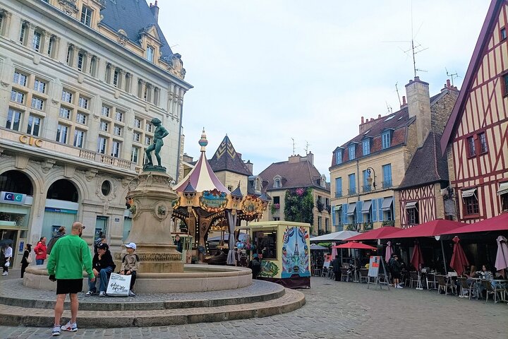 Guided tour of Dijon with your private professional guide!