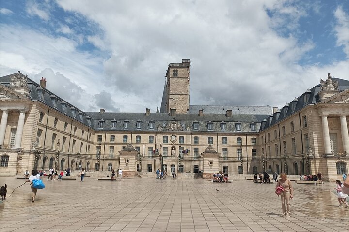 Guided tour of Dijon with your private professional guide!