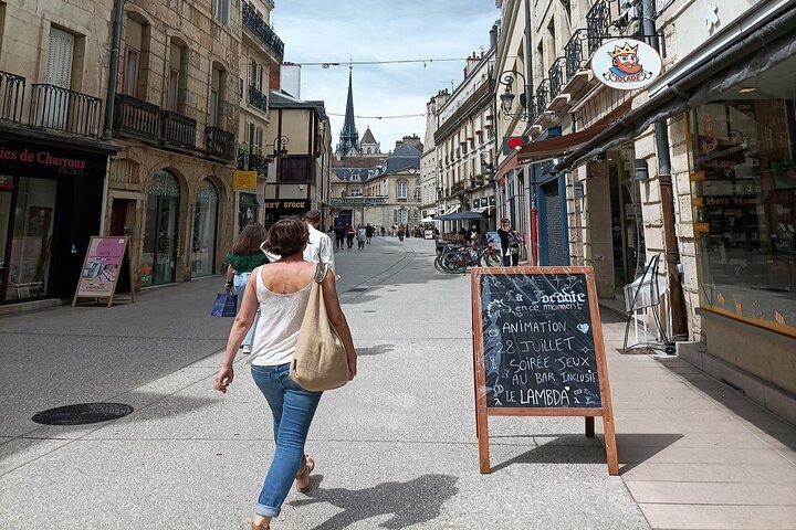 Guided tour of Dijon with your private professional guide!