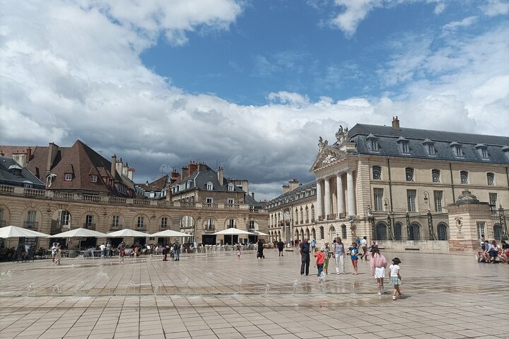 Guided tour of Dijon with your private professional guide!