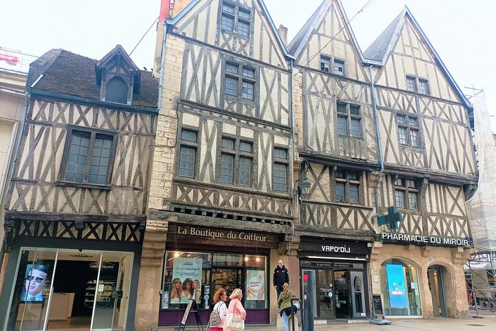 Guided tour of Dijon with your private professional guide!