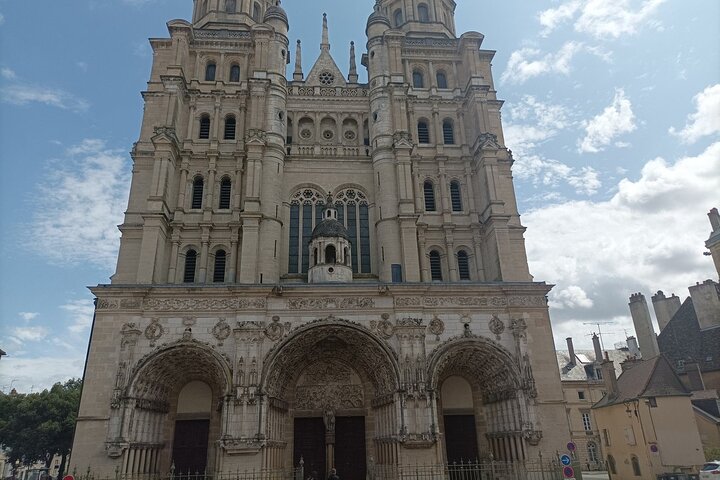 Guided tour of Dijon with your private professional guide!