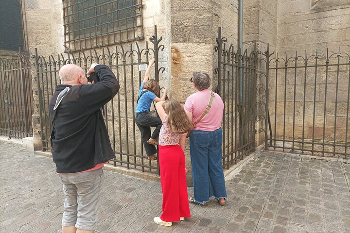 Guided tour of Dijon with your private professional guide!
