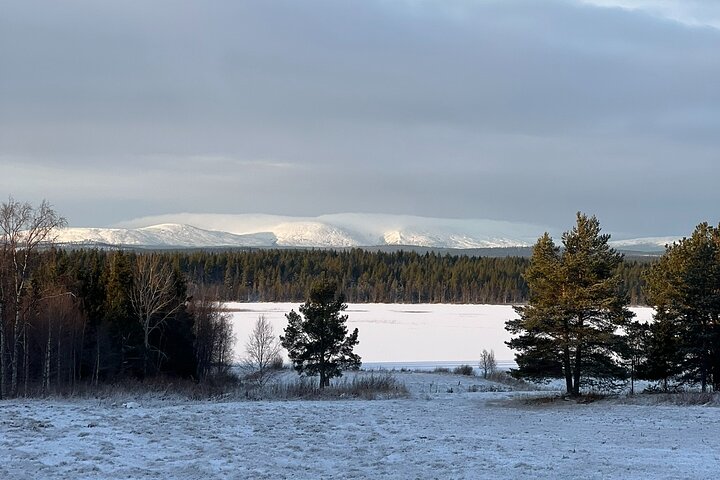 Reindeer Husbandry with Snowmobile Sleigh Ride and Cabin Lunch