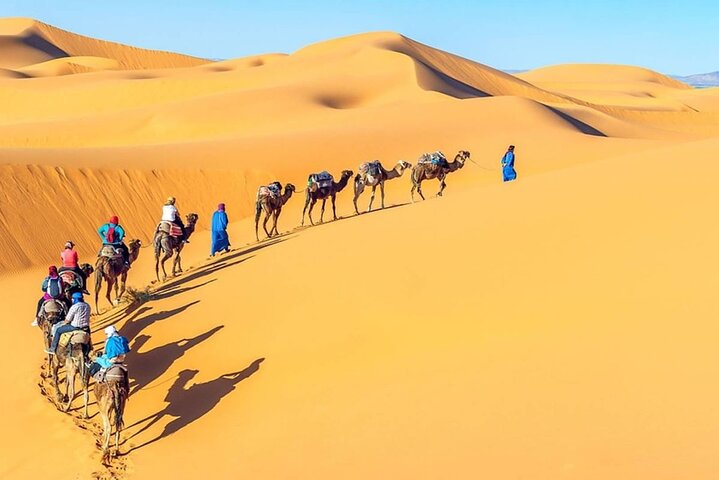 All Inclusive Day Tour To Cairo from Alexandria Port
