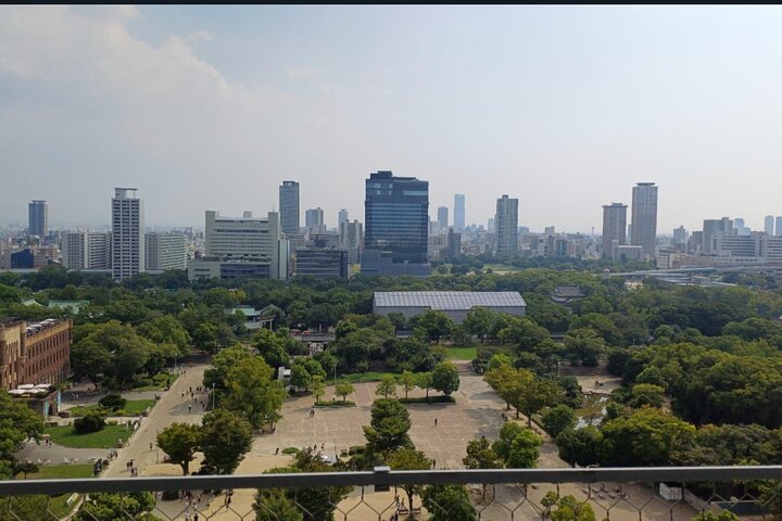 Osaka Private Tour with Guide in Spanish
