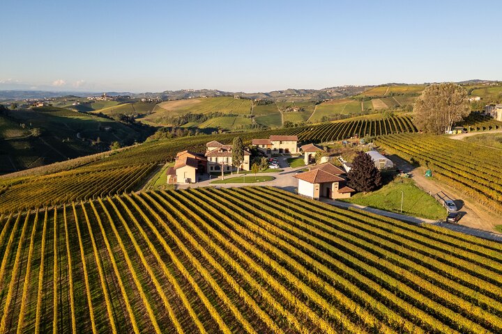 Langhe Wine Tasting and Traditional Lunch