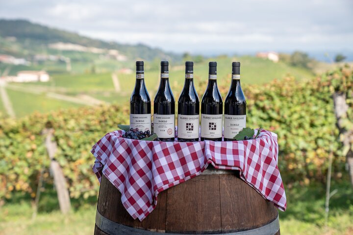Langhe Wine Tasting and Traditional Lunch