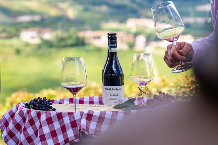 Langhe Wine Tasting and Traditional Lunch