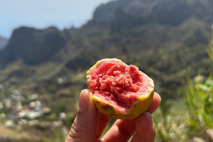 Santo Antão Day Trip by Car – Explore Island Highlights