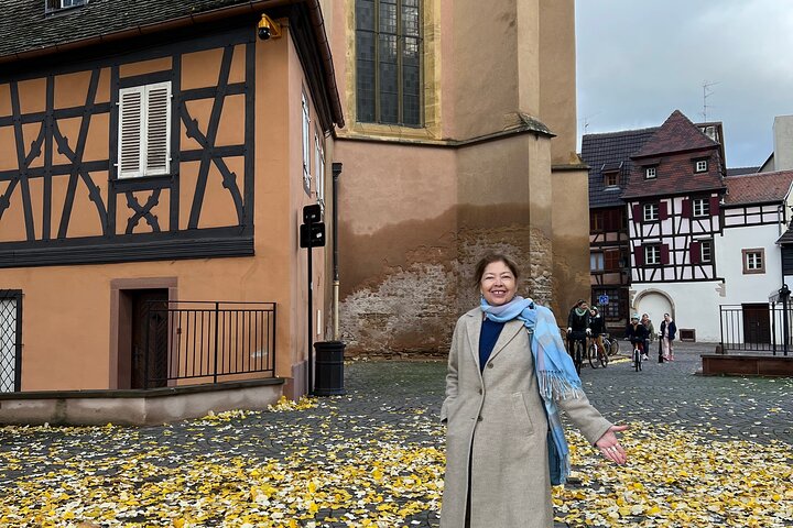Private Tour of Basel and Alsace Region from Zurich