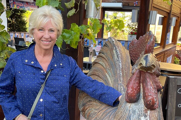 Private Tour of Basel and Alsace Region from Zurich