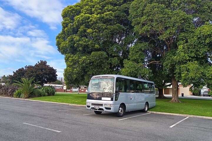 Hobbiton movie set tour and a lot more beautiful NZ sights