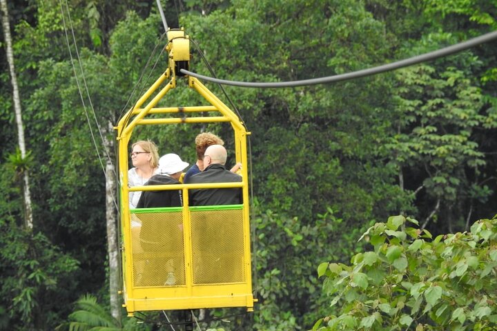 Full-Day Mindo Cloud Forest Tour Birdwatching Waterfalls and Hike