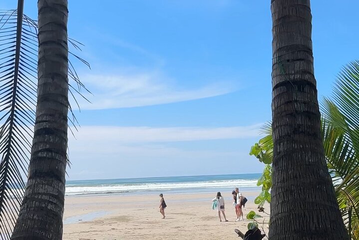 Surf Lessons, Santa Teresa North, Costa Rica
