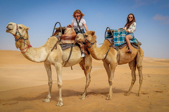 Abu Dhabi: Desert Safari with BBQ, Camel Ride & Sandboarding