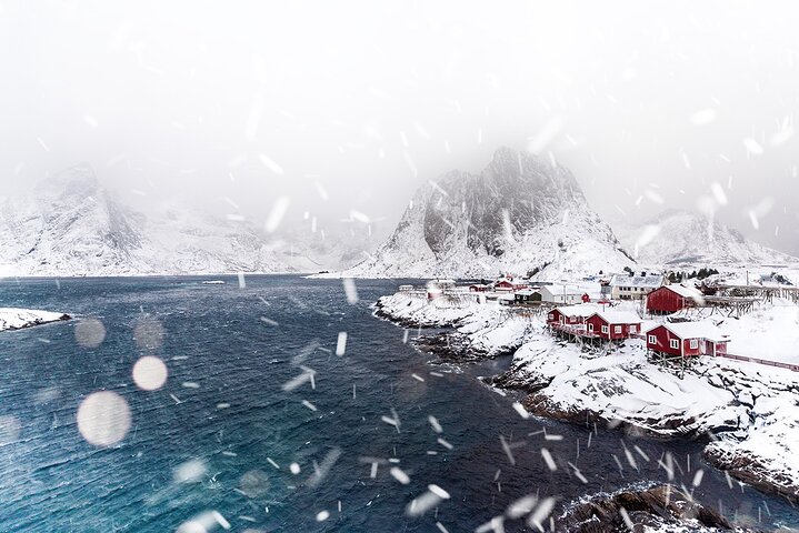 Reine, Hamnøy, Sakrisøy Photo Tour from Svolvær