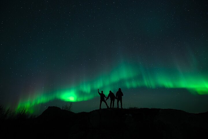 Lofoten Ultimate Aurora Hunt