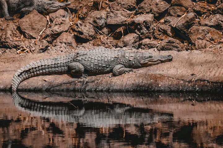 Gambia Banjul City Tour with Crocodile Pool, Arch 22 and More