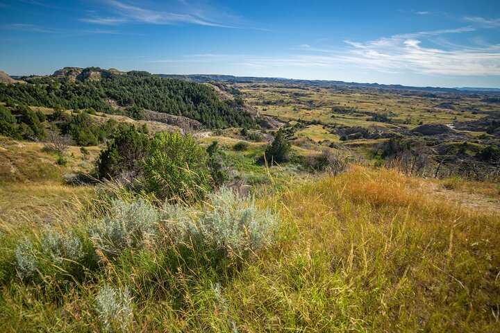 Theodore Roosevelt National Park Self-Guided Audio Tour