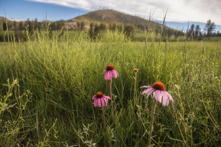 Theodore Roosevelt National Park Self-Guided Audio Tour