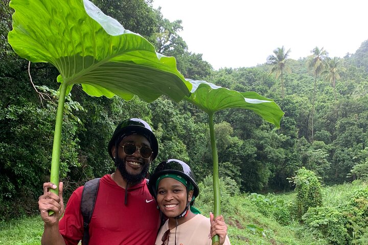 ATV Tour: Eco Friendly Scenic Bellwood Layou Rainforest