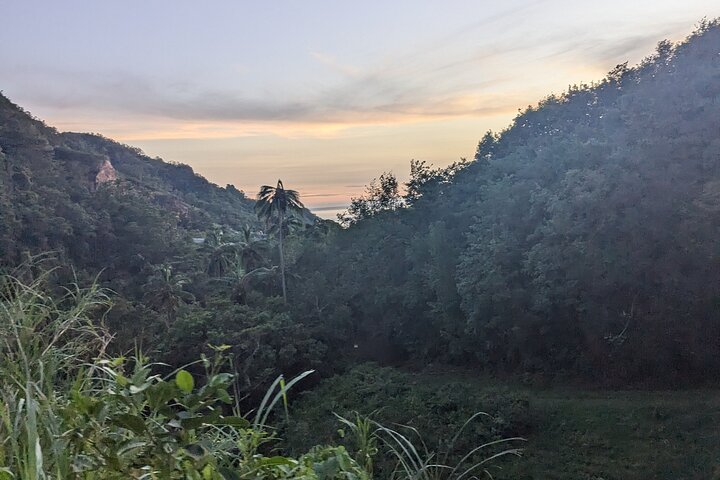 ATV Tour: Eco Friendly Scenic Bellwood Layou Rainforest