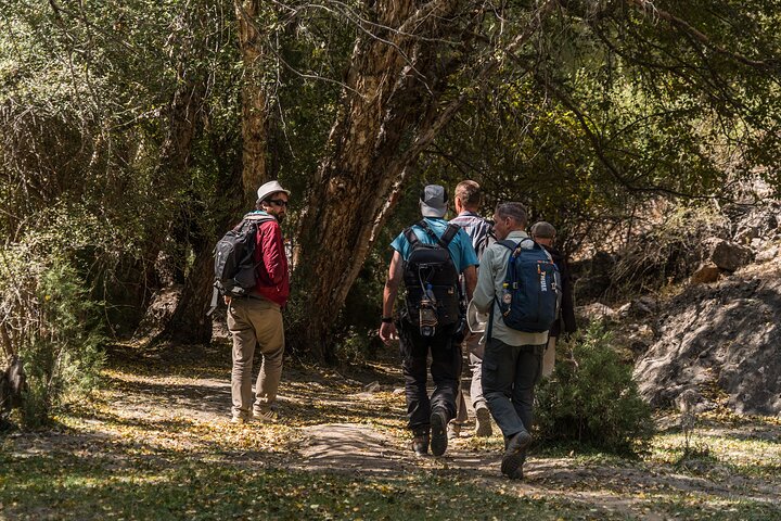 Iskandarkul Escape 2 Day Fann Mountains Adventure and Local Stay