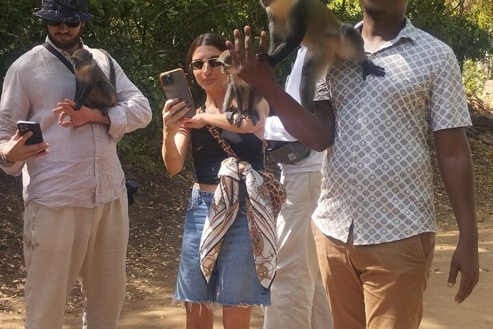 Gede Ruins and Malindi Tour