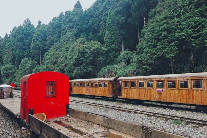 Alishan National Forest Day Tour from Taichung with Hotel Pickup