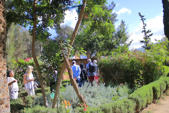 Guided paradise Valley excursion & Atlas Mountains swimming pools