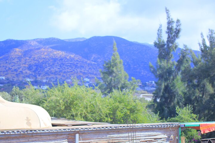 Guided paradise Valley excursion & Atlas Mountains swimming pools