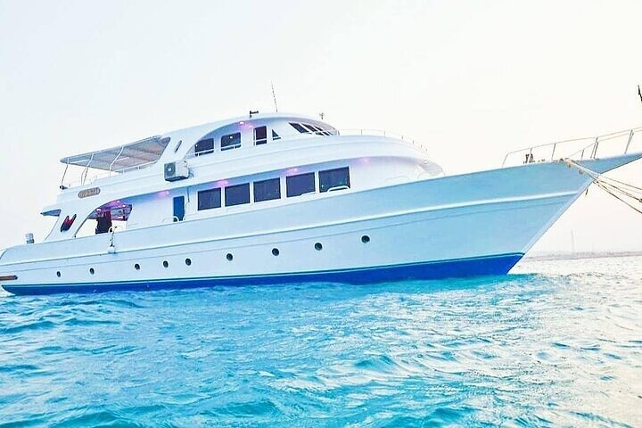 Marsa Mubarak Boat Trip with Turtles and Dugongs From Marsa Alam