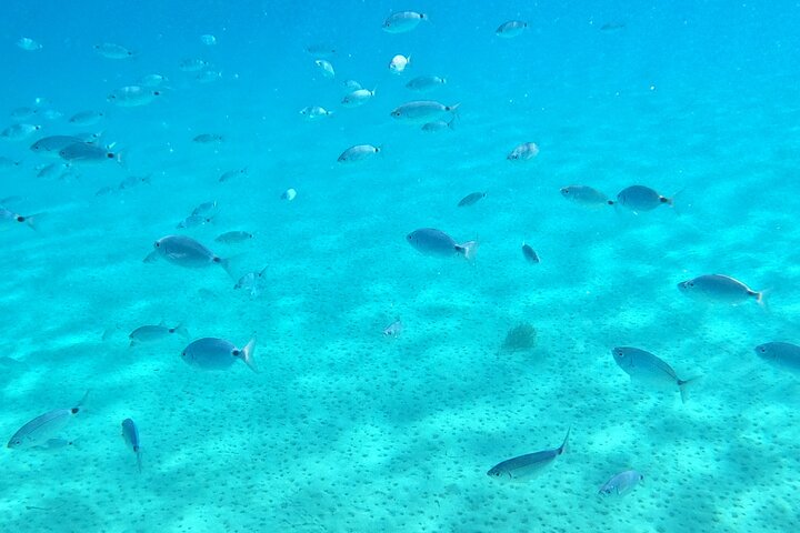 Kos: Small-Group Full-Day Catamaran Boat Trip, Meal, Drinks &Swim