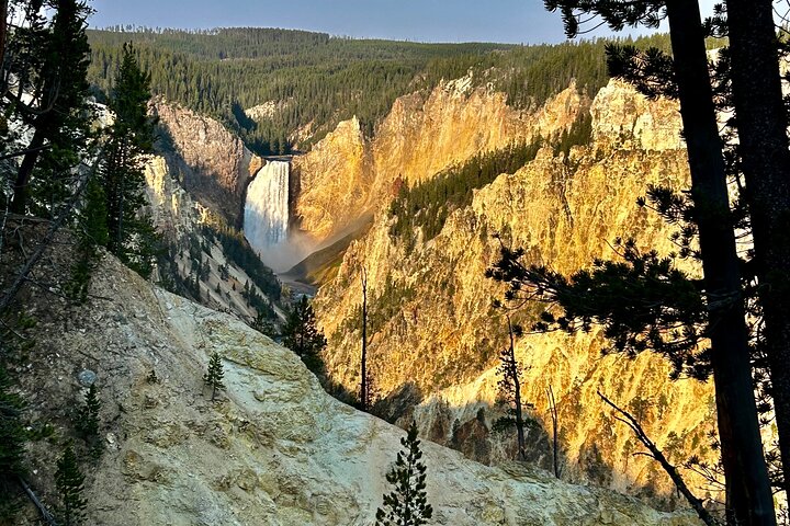 Yellowstone Hot Spots Lower Loop Tour From Cody Wy!