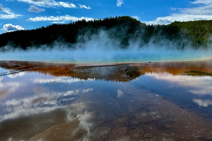 Yellowstone Hot Spots Lower Loop Tour From Cody Wy!