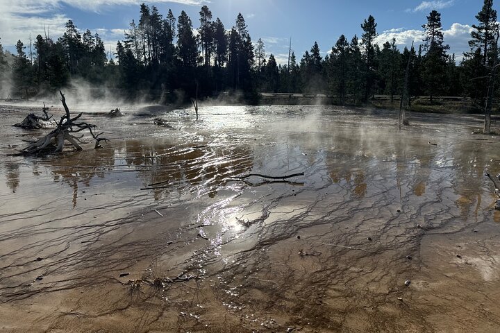 Half Day Yellowstone “Hot Spots” Deals From West Yellowstone