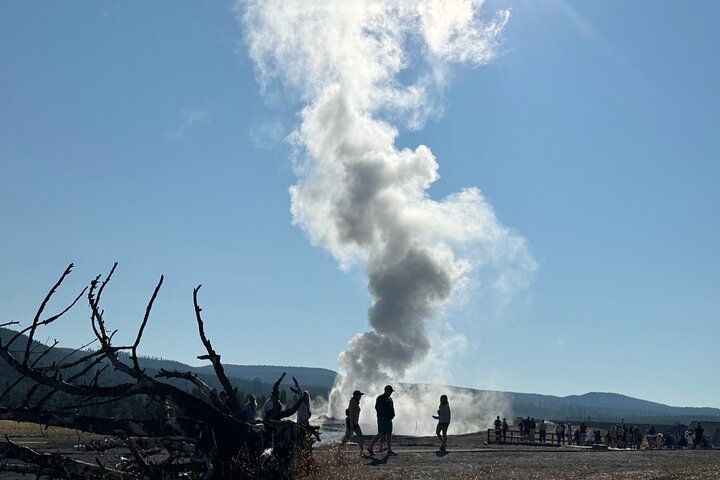 250th Celebration Yellowstone Open Air tour W/lunch and Souvenir